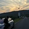 甘蔗。