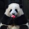 张同学讲数码