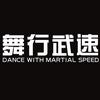 舞行武速空翻技巧艺术中心