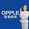 欧普照明（金三角地下第一家）