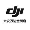 DJI大疆六安万达金街店