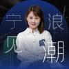 宁见浪潮
