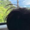 一亿麻麻