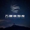万峰林智库