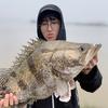 陈大发爱路亚钓鱼🎣