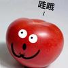 飞飞带你飞