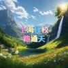 上海择校路通天