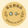 春在野饰品