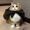 安眠药