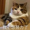 铁槌大王