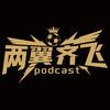两翼齐飞