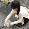 小羊苏西🐾