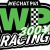 TeamWP300