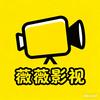 薇薇影视