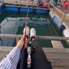 惠州海钓🎣小郑