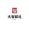 大智解说D