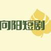 向阳短剧