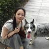 图图省钱又搞钱日记