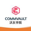 Commvault合作伙伴