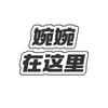 婉婉传媒