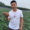 抖音涨粉榜三农排行榜第26名李小春