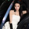兔子在启东创业