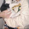 爱吃香菜的🦈