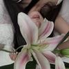綸綸小繆