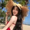梅子的酱