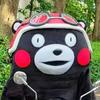 大东不迷糊