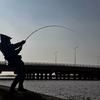 王小欠（🎣）