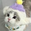 莱财不做猫