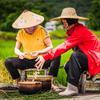 亲兄弟壹牛专卖店