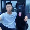 沈阳意哥爱养犬