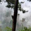 雅芸甄选