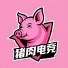 猪肉电竞（三角洲行动）
