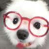 小狗咕噜（耳钉版