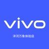 vivo洋河万象体验店