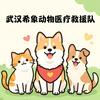 武汉希象动物医疗救援队