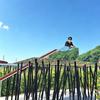 明真探
