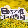 小好说