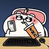 想养一只豚踢兔🐱