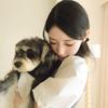 愿茉莉无忧