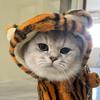 奶油臭臭🐱
