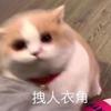 丸辣丸辣