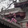 LEAD孙老师