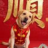 糖小果呀