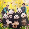 福猪猪是bao