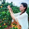 🍊南丰橘娘·李潇玉