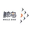 鲸鸟集运